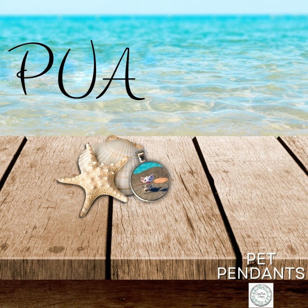 Disney Moana-Pet Tag "Pua", Tag accessory for pet collar